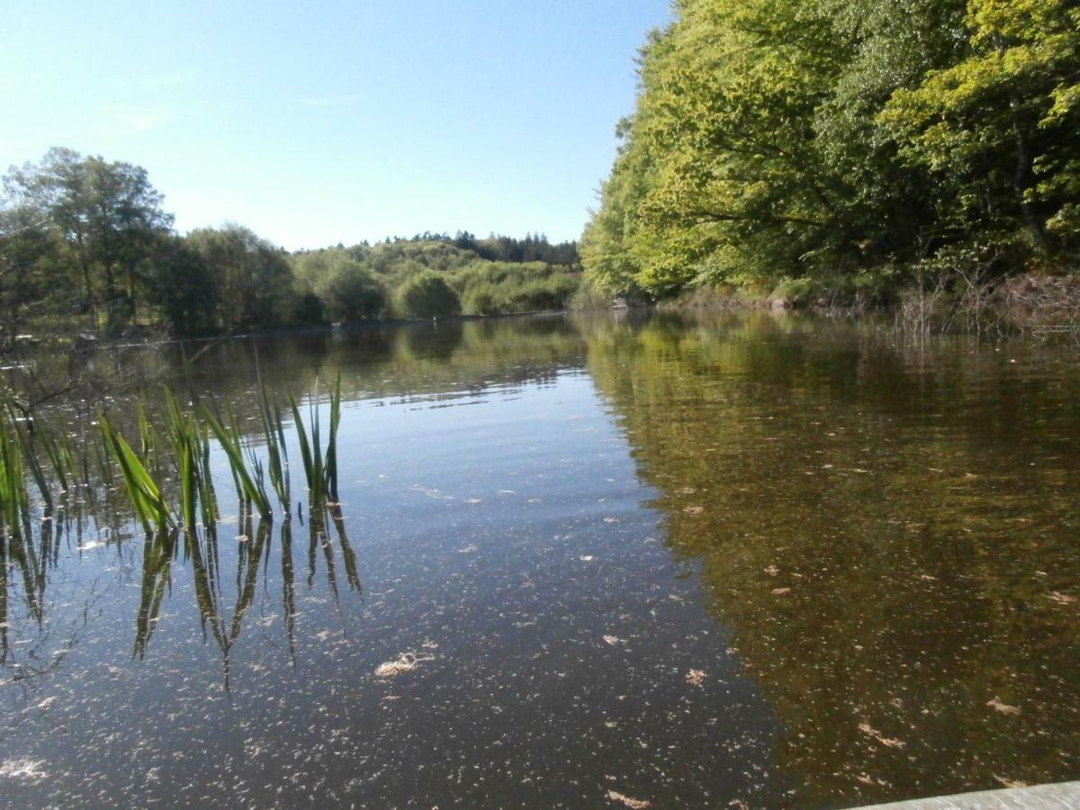 Le Crusoe A L'etang D'anty - *
